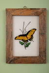 framed painting