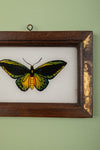 framed painting