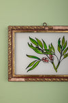 framed painting