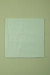 Ex Sample/SecondsWwildflower Garden on Pale Green Embroidered Cushion Cover