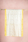 vintage sari