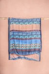 vintage sari