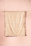 vintage sari