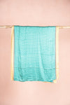vintage sari