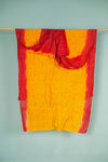 Vintage Silk Sari - 5 Metres Long - 1979