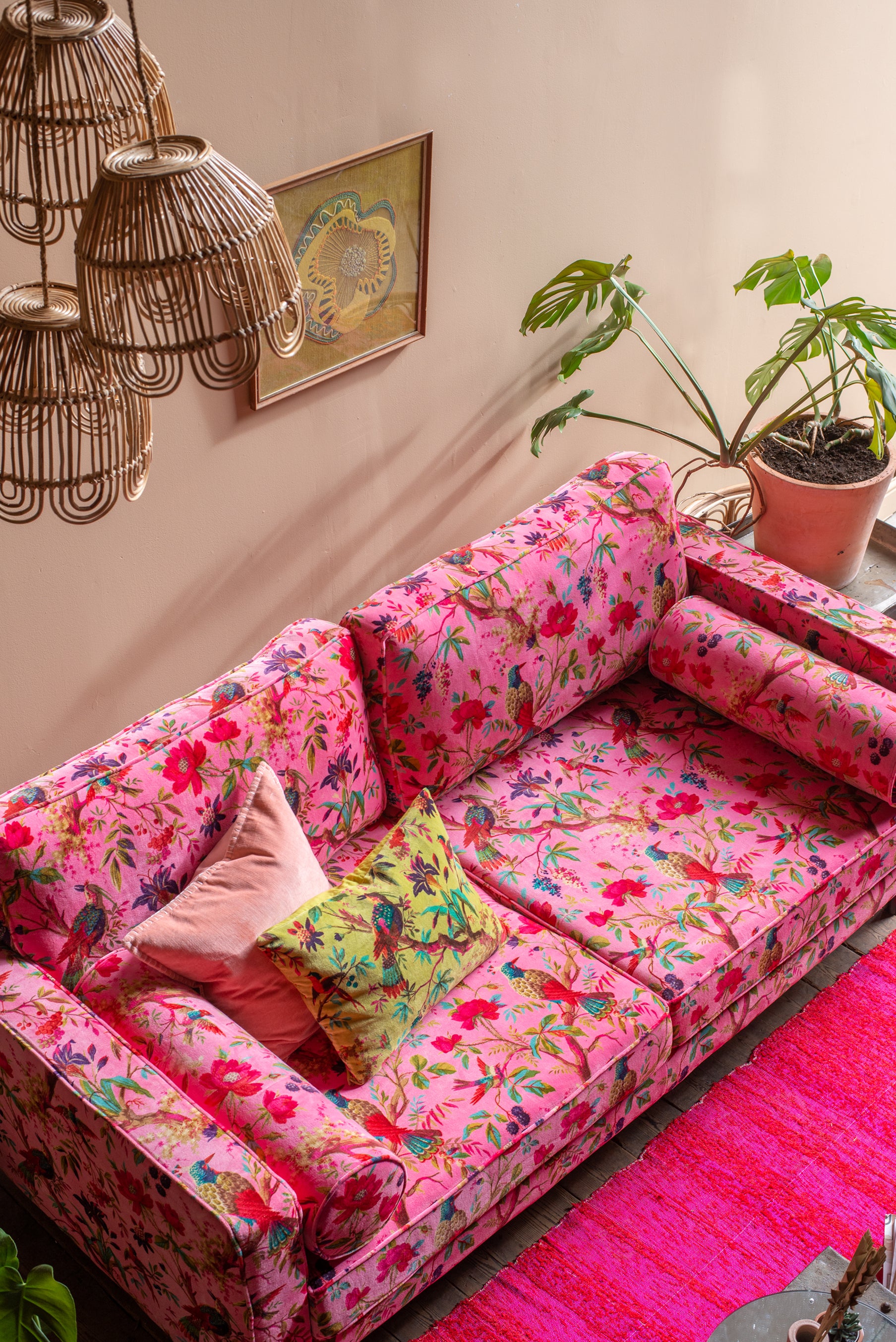 Pink Sofa, Islands Wiki