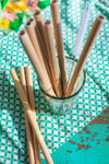 Set of 10 Bamboo Straws