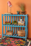 Vintage Blue Slatted Shelves