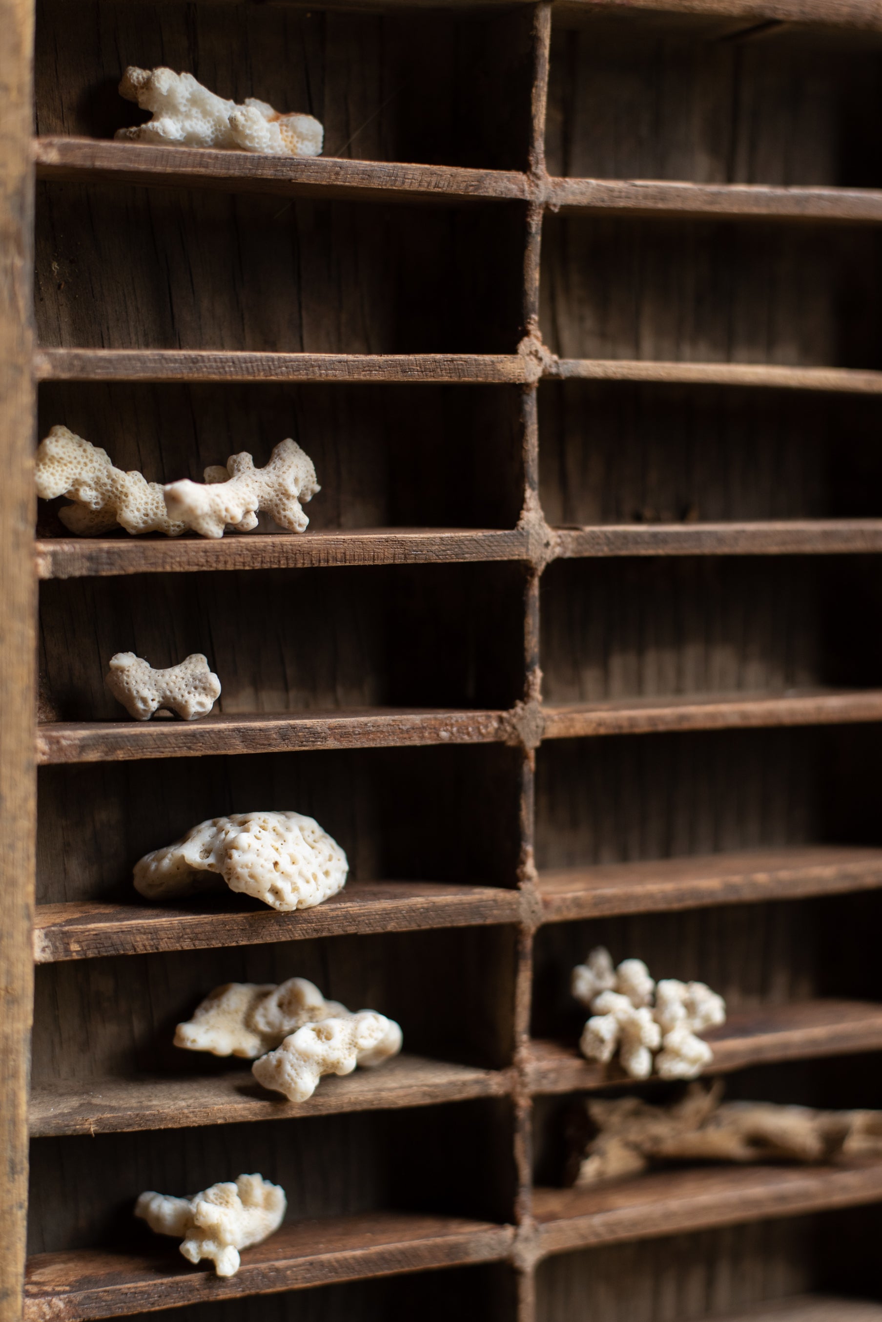 Vintage Wooden Printing Press Tray Ian Snow Ltd